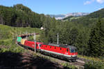 1144.120+1116 fahren mit G-54507 vor der Rax im Bogen hinter der Kalten-Rinne bei Breitenstein bergwärts. 29.7.17