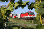 Die Nagelneue am 6.6.17 aus der HW ausgetretene 1144.280 hat mit R-2253 den  Busserltunnel  in den Weinbergen zwischen Gumpoldskirchen und Pfaffstätten verlassen.