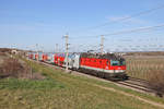 Rund um den  Busserltunnel  bei Pfaffstätten,wurden die meisten Streucher entlang des Bahndamms gerodet,wo sich 1144.213 mit R-2351 befindet.