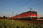 In der ersten Morgensonne des 14.7.2020 stehen die 1144 228 und die 1144 060 mit dem DG54072 von Graz Vbf nach Wien Zvb in Ebenfurth und warten auf die Weiterfahrt dem Ziel entgegen.