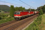 Die 1144 201 und 1144 123 bespannten am 7.7.2021 den DG55072 von Graz Vbf nach Wien Zvb und kamen beim Einfahrsignal von Payerbach-Reichenau kurz zum stehen.
Die offene Türe bei der ersten Lok deutet auf einen sehr heißen Tag hin.