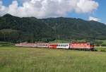 Ob es diesen Zug nach dem Fahplanwechsel im Dezember
noch gibt ist mehr als fraglich.
Jedenfalls am 31.07.2010 hat die rosarote 1144 029 mit 
dem IC 502 auf dem Weg von Graz nach Linz den Bahnhof Micheldorf
schon fast erreicht. 