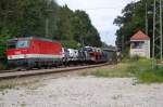 1144 245 durchfuhr am 23.08.2010 mit einem langen VW-Autozug den Bahnhof Aling (Obb).