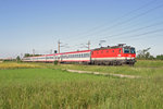 1144.210 fährt mit D-459 auf der Neunkirchner-Allee bei Wr.Neustadt am 7.6.16