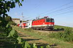 Die ziemlich neue 1144.269 hat mit R-2255 am Abend des 29.7.16 den  Busserltunnel  zwischen Gumpoldskirchen und Pfaffstätten verlassen.