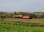 Die 1144 202 mit einem Schotterzug am 14.10.2016 unterwegs bei Taufkirchen a. d. Pram.