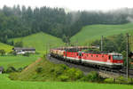Zwei 1144 schleppen einen Kesselwagenzug von Wörgl kommend Richtung Brixen. Die Aufnahme entstand am 06/08/2010 in der Steigung bei Unterwindau.