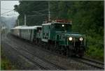 E-Lok 1189.02 fhrt mit Sonderzug 16430 von Mrzzuschlag nach Wien Sd.Anlass dafr war das Fest der Krokodile in Mrzzuschlag.
Gloggnitz 1.6.2008
