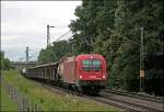 Die Taurus III Dichte ist zwischen Mnchen und Salzburg sehr hoch. Hier bringt die 1216 008 (E190 008) einen gemischten Gterzug bei Vogl in Richtung Salzburg. (09.07.2008)
