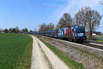 Oft fotografiert habe ich die 1216 940 bereits, allerdings zu einem Zeitpunkt, als sie noch in anderer Lackierung bei den Salzburger Lokalbahnen lief. Eingesetzt wurde sie damals fast ausschließlich vor Güterzügen zwischen Salzburg Liefering und Hüttau im Pongau. 2021 wurde die Lok an das Unternehmen DPB verkauft. Dabei wurde auch das Äußere komplett umgestaltet. Das Einsatzgebiet wurde erheblich vergrößert und der Taurus verkehrt nun österreichweit und kommt auch nach Deutschland. Hierbei werden zumeist Neuwagentransporte von und zu den Nordseehäfen befördert. Der Einsatz erfolgt hierbei für das Unternehmen e.g.o.o. Eisenbahngesellschaft Ostfriesland-Oldenburg. Am 07. April 2023 wurde ein leerer Autotransportzug mit besagter Lok am frühen Morgen in Hessen gemeldet. So rechnete ich mir die Möglichkeit eines Bildes in der Oberpfalz aus. Sich verschlechterndes Wetter machte diese Option wenige Augenblicke vor Durchfahrt des Zuges zunichte. So wurde kurzerhand die Verfolgung aufgenommen und bei Langenisarhofen in Niederbayern gelang dann noch eine halbwegs vorzeigbare Aufnahme. Der Laufweg der Leistung müßte übrigens von Bremerhaven nach Bratislava-Petržalka gewesen sein.  