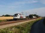 Die 1216 955 mit einem KLV-Zug am 26.07.2015 unterwegs bei Unternberg.