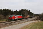 1293 181 mit einem kurzen  Mischer  am 3. März 2021 bei Grabenstätt im Chiemgau.
