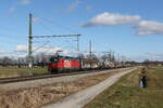 1293 185 mit einem gemischten Güterzug aus Salzburg kommend am 5. Februar 2022 bei Übersee am Chiemsee.