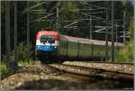 EM-Lok 1116 041 Niederlande fhrt als EC 536 von Villach nach Wien Sd.
Zeltweg 30.7.2008