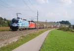 Mit der 1116 007 an der Spitze war am 28.08.2008 der  Papierzug 48930 kurz nach Wartberg an der Krems  zu sehen.