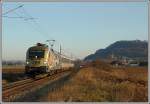 Der nur aus zwei Waggons bestehende IC 154 von Marburg nach Graz am 24.11.2006, bespannt mit dem Mozarttaurus 1116 250, aufgenommen kurz nach Wildon. Ich hatte Glck, da die Lok zuvor mit einer Stunde Versptung mit einer RoLa aus Wels gekommen ist, wre sich die Rckleistung als IC 154 fast nicht ausgegangen. 