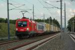 1116 238 mit einer RoLa von Slowenien kommend Richtung Graz in Kalsdorf am 11.5.2005