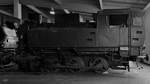 Die Dampflokomotive  NEUE  wurde 1952 von der Wiener Lokomotivfabrik Floridsdorf für die Schöller Bleckmann Stahlwerke gebaut. (Lokpark Ampflwang, August 2020)