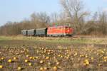 NLB 2143 070-7 am 23.November 2014 mit dem SR 17918 zwischen Blaustauden und Laa a.d. Thaya Stadt beim Strecken-KM 135,0.