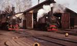 298 51 und 298 52 warten Anfang April 1975 im Heizhaus Garsten der Steyrtalbahn auf ihren nächsten Einsatz