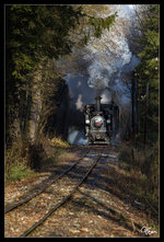 Tunnelblick - Die ÖGEG Dampflok 298.102, dampft mit einem Adventzug durch das Steyrtal, von Steyr nach Grünburg.