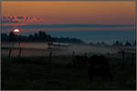 Im August kommt der Herbstnebel manchmal schon durch...