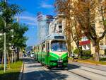 Graz. Am 28.09.2023 ist TW 505 auf der Linie 6 eingeteilt, hier bei der Haltestelle Nikolaus-Harnoncourt-Park.