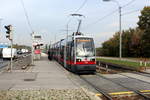 Wien Wiener Linien SL 31 (B 684) XXI, Floridsdorf, Donauinsel, Haltestelle Floridsdorfer Brücke am 21.