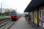 Wien Wiener Linien SL 31 (c5 1463 + E2 4063) XXI, Floridsdorf, Donauinsel, Hst.