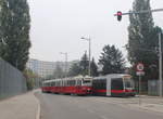Wien Wiener Linien SL 26 (E1 4855 + c4 1351) XXII, Donaustadt, Oberfeldgasse am 18.