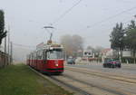 Wien Wiener Linien SL 71 (E2 4092 (SGP 1989) + c5 1492 (Bombardier-Rotax 1988)) XI, Simmering, Simmeringer Hauptstraße / Zentralfriedhof 2.