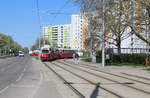 Wien Wiener Linien SL 26 (E1 4827 + c4 1321) XXII, Donaustadt, Ziegelhofstraße / Prinzgasse am 19.