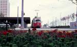 Wien WVB SL 167 (E1 4493) Kurzentrum Oberlaa / Wiener Internationale Gartenschau 1974 am 19. Juli 1974.