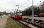 Wien Wiener Linien SL 67 (E2 4309 (Rotax 1978) Neilreichgasse am 15. Februar 2016.