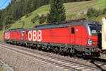 Nachschuss auf die ÖBB 1293 036-0 & 1293 040-2 mit einem talwärts fahrendem KLV Zug Richtung Kufstein. Aufgenommen bei St. Jodok am Brenner am 25.09.2021