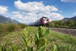 Mal ein Blick durchs Gebüsch auf den in Richtung Wien fahrenden railjet 632. Aufgenommen am 6.5.2016 nahe Berg im Drautal.