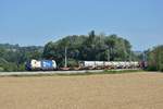 1193 980 ist am 16.07.2015 mit dem Containerzug 61451
in Wartberg an der Krems durchgefahren.