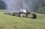 BWB 1991,Dampfzug mit der  Seidensticker Lok  NICKI S(Henschel 1941)Tender voraus Richtung Schwarzenberg.Heute befindet sich die Lok unter dem neuen Namen  Nicki+Frank S  bei der DKBM e.V.(Archiv P.Walter)