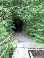 ehemalige Bregenzerwaldbahn, km 9,2 : Das ist die Ausfahrt aus dem Rickenbachtunnel (in Richtung Bregenz gesehen). Hier ist alles extrem verwachen, der Tunnel ist aber begehbar und  nur  86 m lang.