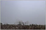 Nebelverhangenes Stainztal an diesem 1ten Adventsonntag. 
764.411 R zieht den ersten Adventzug nach Stainz. 
