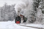 Winter Wonderland II- Dampflok 764.411R der Stainzerbahn fährt mit einem Güterzug von Preding nach Stainz, aufgenommen in den Wäldern nahe Mannegg.
