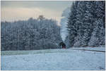 Winterdampf im Stainzertal -Draculinchen 764.411R fährt mit einem Fotogüterzug durch die Wälder nahe Kraubath.
