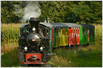 Stainzer Flascherlzug am 11.9.2016 kurz vor Herbersdorf.