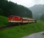 Das Jahr 2009 war das letzte Betriebsjahr der Ybbstalbahn in welchem ein durchgehender Bahnverkehr zwischen Waidhofen und Lunz am See mglich war.