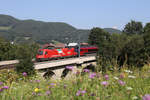 Italien-Fahne 1216.011 mit RJ-132 am Payerbachgraben-Viadukt am 9.8.18