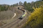 1116.141 mit GAG-41601 beim verlassen des Steinbauer-Tunnels am 18.4.13