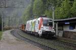 1116 130 (Frontrunner)fährt am 27.05.2014 mit einem Güterzug durch die Haltestelle Wolfsbergkogel.