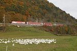 1116 225 (ÖFB) ist am 24.10.2016 bei Payerbach unterwegs.