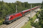 1116 236 als Railjet bei Neunkirchen am 8.09.2016.