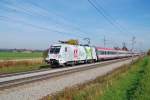 1116 130 ist am 20.10.2013 mit dem IC 548  Erlebnisregion Tennengau   bei Marchtrenk ber die Westbahn gerauscht.